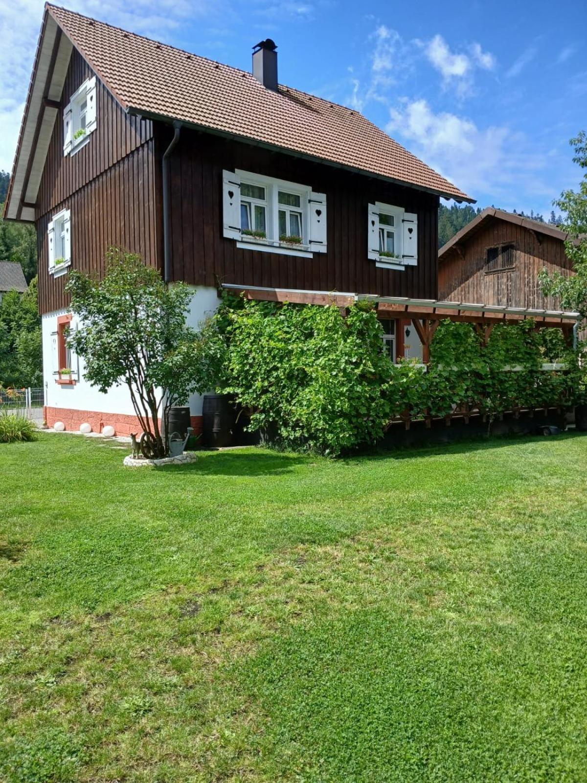 Familienfreundliches-Luxus-Bahnwaerterhaus Villa Schiltach Kültér fotó